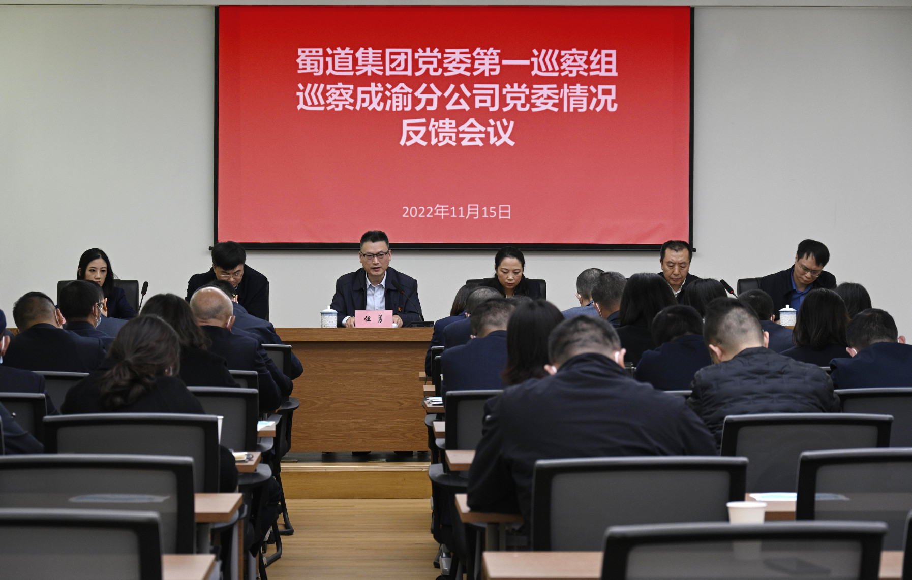 蜀道集团党委第一巡察组向ballbet分公司党委反馈巡察情况_副本