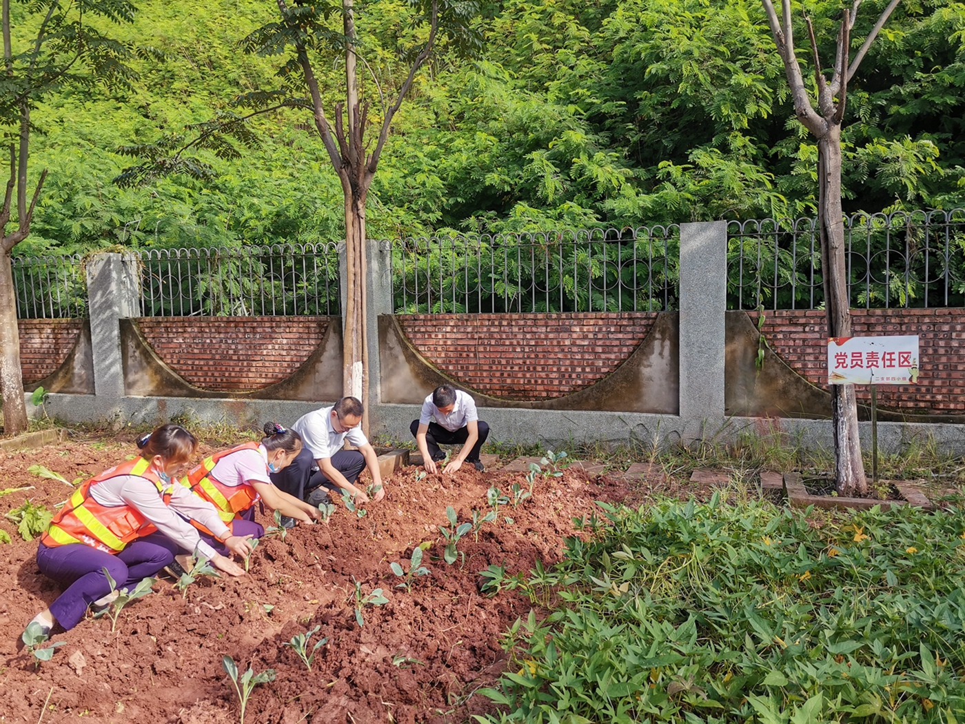 9.9+袁桂江+资阳管理处加强职工菜园建设